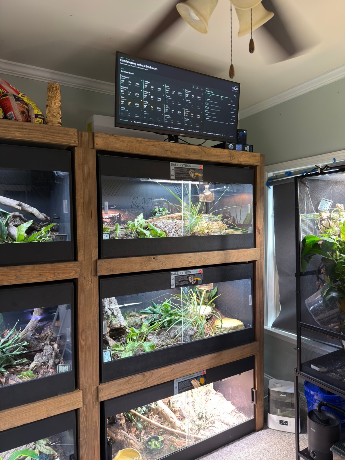 Reptile enclosures in the animal room beneath the Haven display